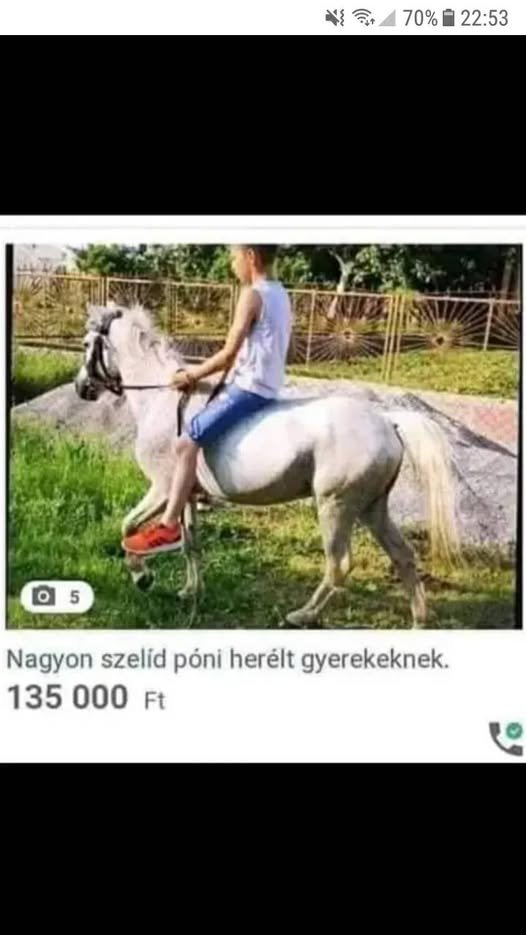 500055650_667412179451022_4858093877080296346_n (1)