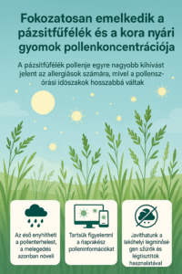 Megugrik a pázsitfűfélék pollenje: mit tegyenek az allergiások?