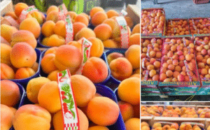 Ennyiért kinálják idehaza a sárgabarackot.