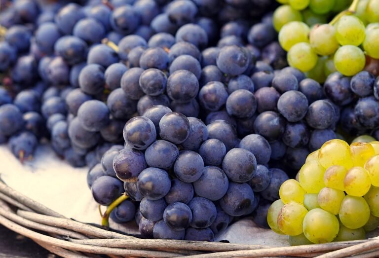 fruit-6697601_1280