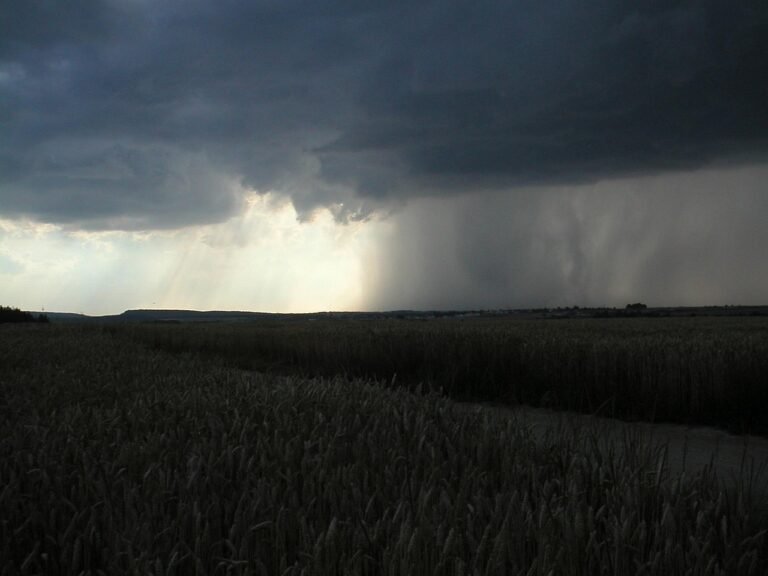 thunderstorm-mood-422389_1280