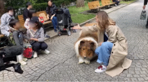 Japán férfi, aki kutyaként él, most inkább pandává változna