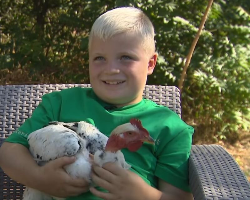 Netes kedvenc lett a tanyasi kisfiú – még akkor is ad tyúkot, ha nincs pénzed