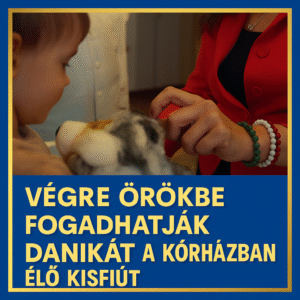 💛 Végre örökbe fogadhatják Danikát, a kórházban élő kisfiút