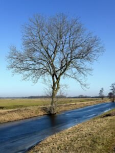 Citromsárga figyelmeztetés lépett életbe: balesetveszélyes időjárás közelít több vármegyében