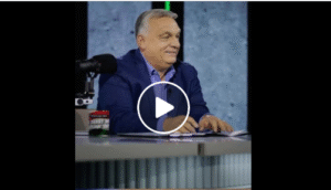 „Orbánnak lett igaza” – Menczer Tamás kemény üzenetet küldött