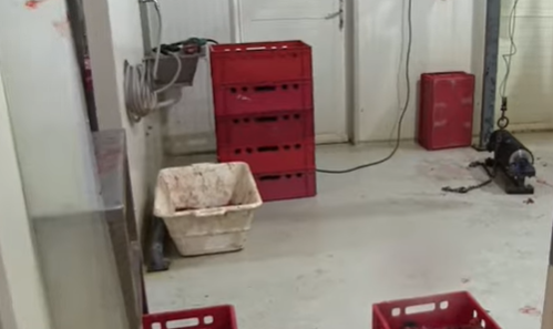 Ha itt vettél húst karácsonyra, meg ne főzd, rossz hírünk van