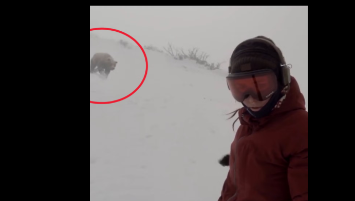 A medve üldözte, miközben lesiklott a havon: videón a megdöbbentő eset